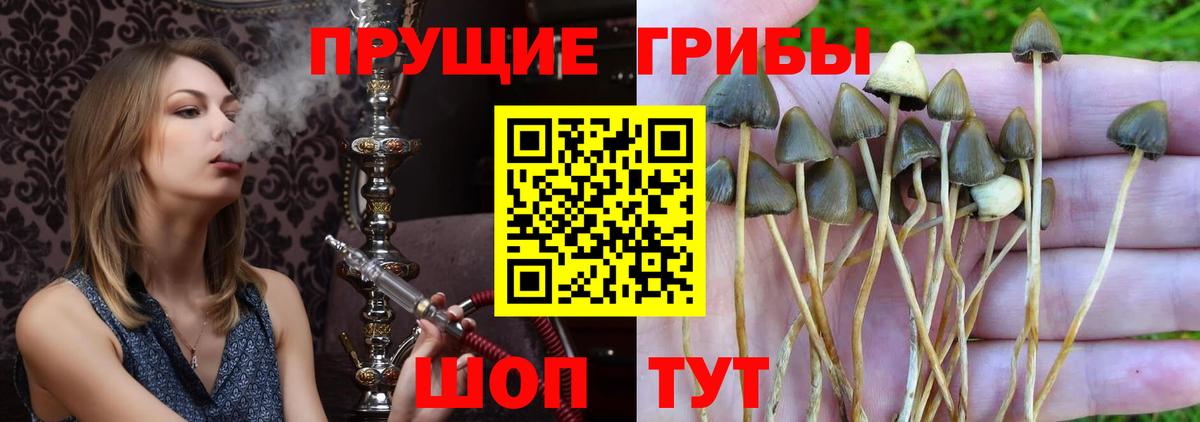 Галлюциногенные грибы мицелий Псков