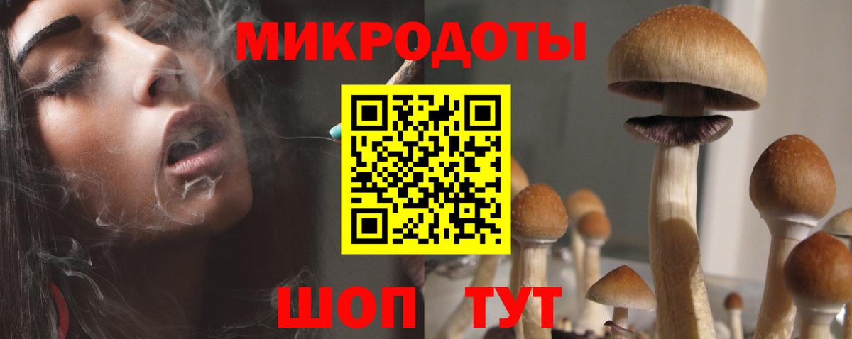 Псков  Псилоцибиновые грибы Psilocybe  Вход с VPN 